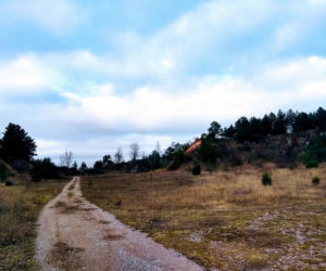 Serial Wiedźmin