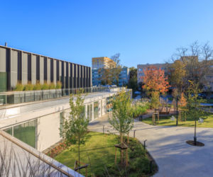 Centrum Aktywności Międzypokoleniowej na Ochocie