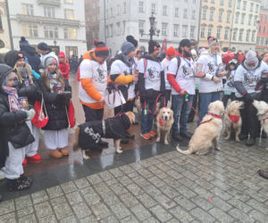 34. finał WOŚP w Krakowie. Golden Retrievery na Rynku Głównym