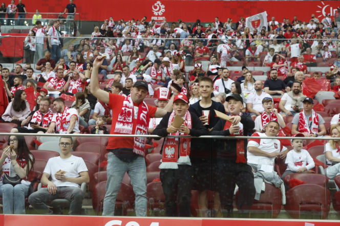 Kibice na meczu Polska-Nigeria