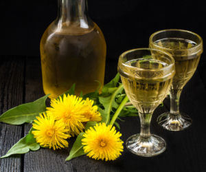 Wino z mniszka: przepis prosto z Anglii