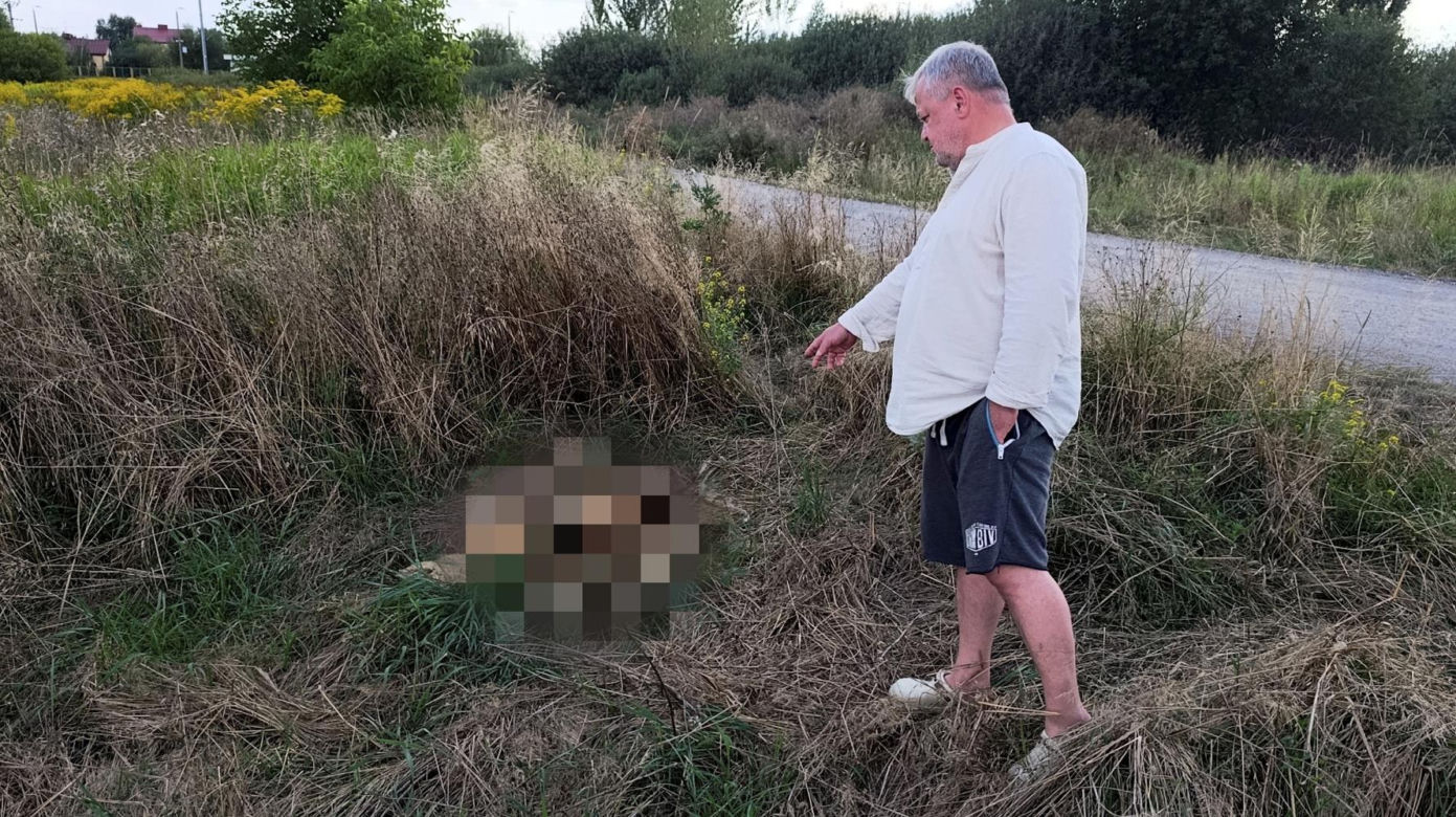 Makabryczne odkrycia przy budowie A2 na Mazowszu. Niewytłumaczalna fala zabójstw