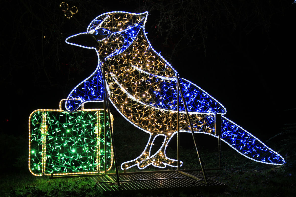 Park iluminacji „Tajemniczy Ogród” w Lublinie