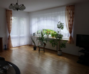 Zdjęcie 7252