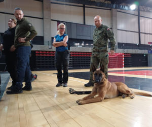 Psy służbowe, szkolenia i strefa pierwszej pomocy. Trwa drugi dzień CERBERUS K9 w Ostrowie