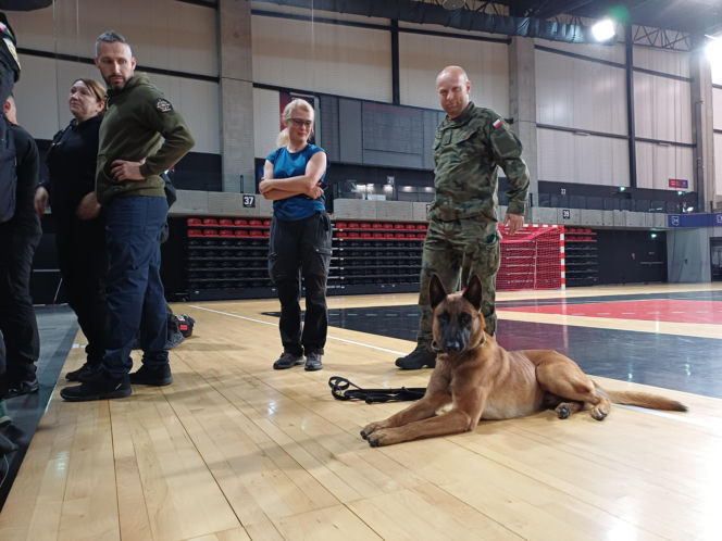 Psy służbowe, szkolenia i strefa pierwszej pomocy. Trwa drugi dzień CERBERUS K9 w Ostrowie