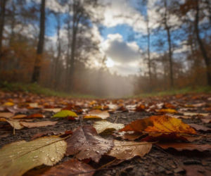 Pogoda w Kielcach mocno się zmieni w weekend. Jeden dzień przyniesie wyraźne ochłodzenie