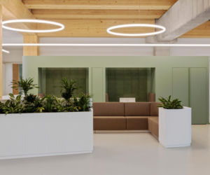 Timber Pioneer we Frankfurcie