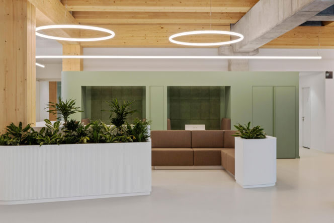 Timber Pioneer we Frankfurcie