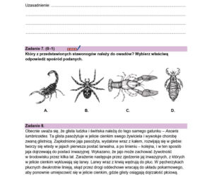 Próbna matura 2026 biologia. WSZYSTKIE arkusze CKE i odpowiedzi 14.01.