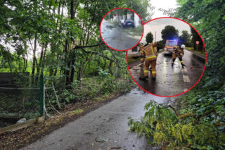 Potężna burza nad Małopolską. Zerwane drzewa i połamane konary, jedna osoba ranna