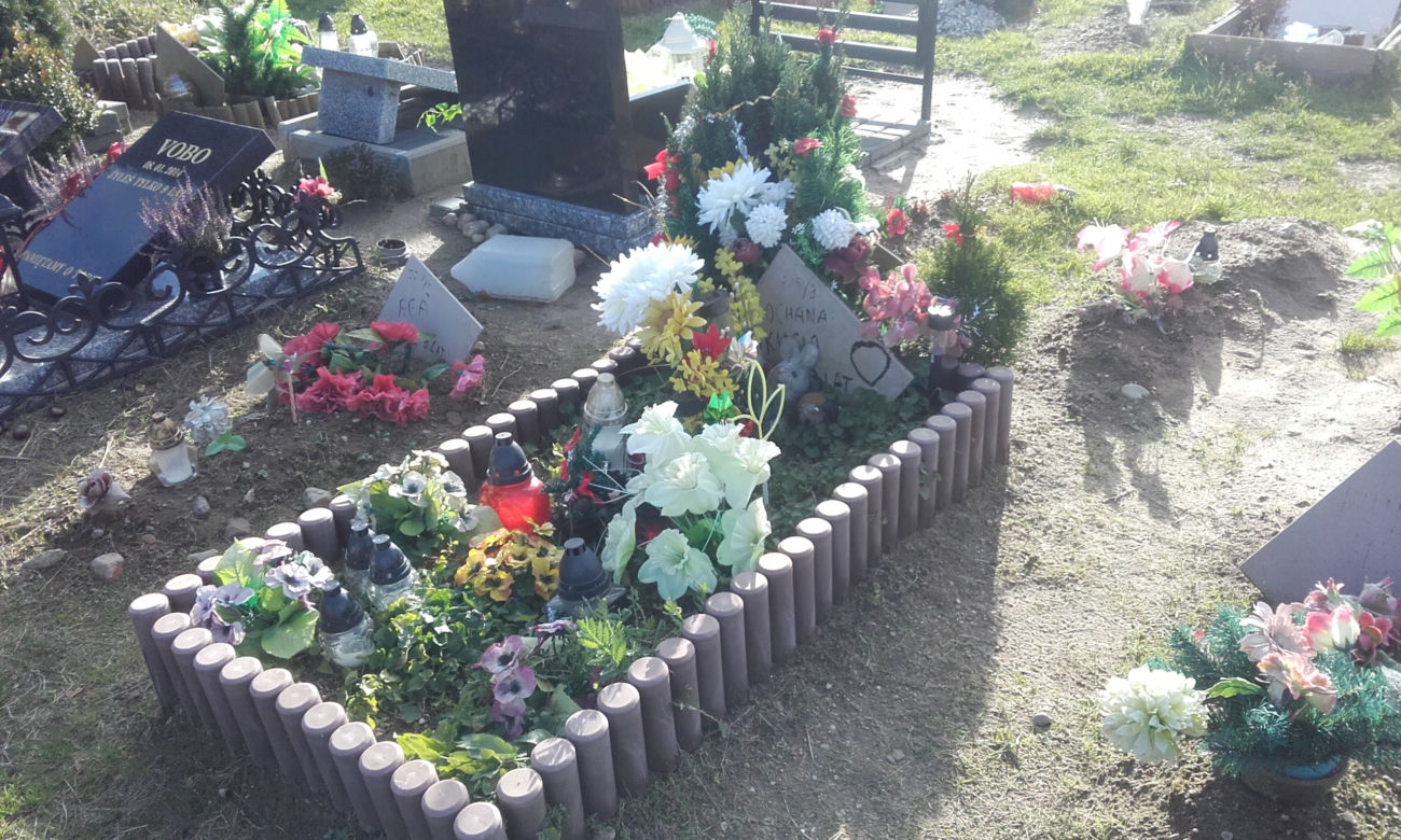 7 Cmentarz dla zwierząt w Łodzi