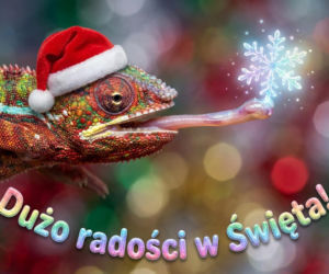 Kartki świąteczne z życzeniami na Boże Narodzenie. PRZEPIĘKNE kartki z wierszykami za darmo