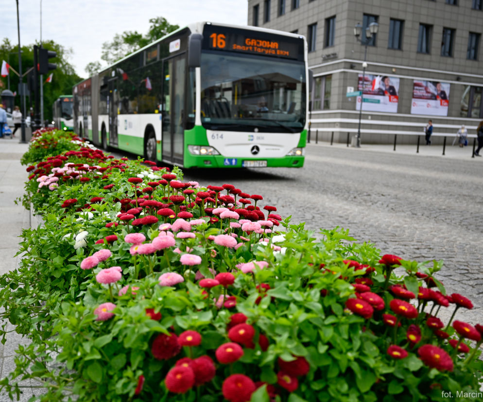 Dzień bez samochodu w Białymstoku. Przejazdy autobusami i rowerami sieci BiKeR są bezpłatne!