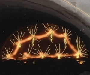 Trwa budowa tunelu pod Górami Wałbrzyskimi