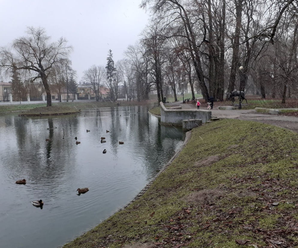 Siedlecki Park Miejski Aleksandria czeka na remont od lat