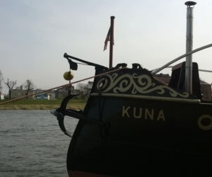 Kuna na fali