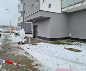 Krwawa masakra w Rzeszowie. Wołała pomocy, gdy dźgał ją nożem kuchennym. Nowe fakty [ZDJĘCIA]