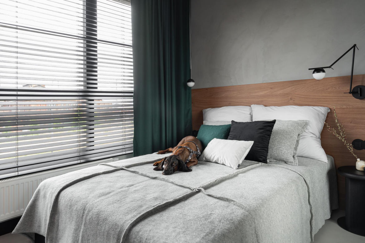 DockYard Apartment