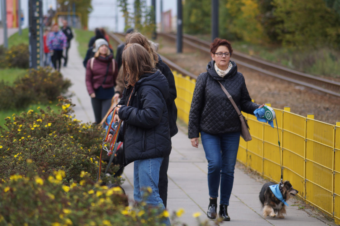 Parada Psów Adoptowanych w Bydgoszczy 2022 [ZDJĘCIA]