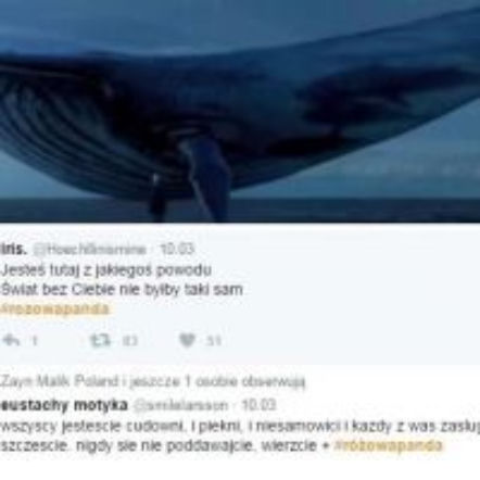 Niebieski wieloryb vs Różowa panda - starcie na śmierć i życie w internecie