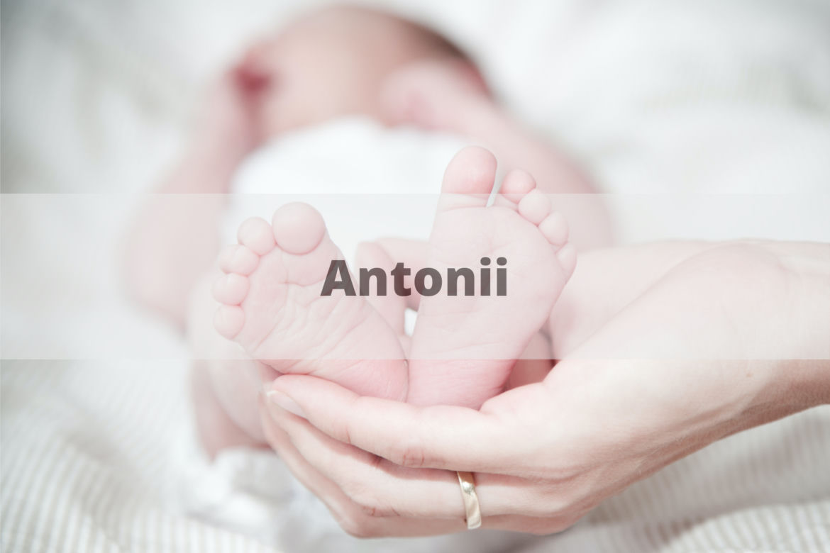 Antonii