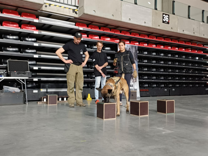 Psy służbowe, szkolenia i strefa pierwszej pomocy. Trwa drugi dzień CERBERUS K9 w Ostrowie