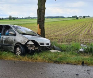 Jatwieź Duża. Wypadek: Kierowca renault rozbił się na drzewie [ZDJĘCIA]