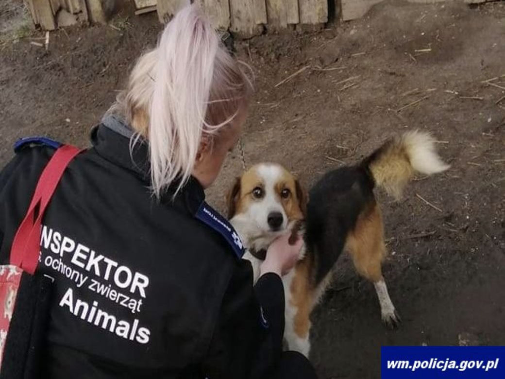"Psia Mama" pracuje w policji