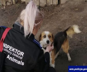 Psia Mama pracuje w policji