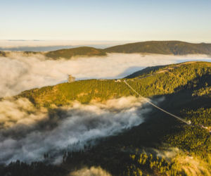 Sky Bridge 721