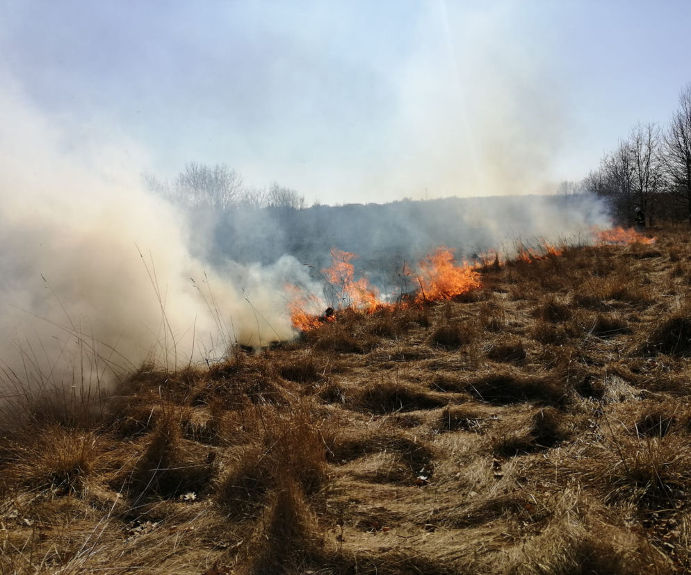 Spłonęły 34 hektary! 150 strażaków gasiło pożar traw w Brodach