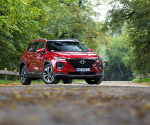Hyundai Santa Fe 2.0 CRDi 185 KM 8AT 4WD Platinum