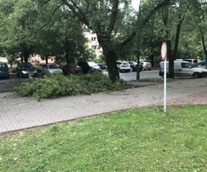 Jedną z dzielnic, któa ucierpiała najbardziej był Czechów Południowy