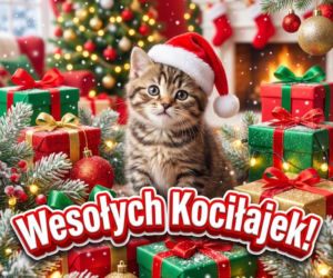 Kartka z życzeniami na Mikołajki