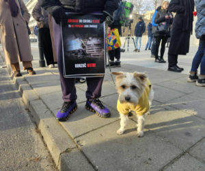 Protest przed Sejmem (17.12.2025)