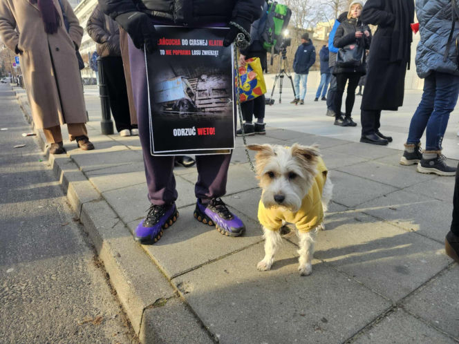 Protest przed Sejmem (17.12.2025)