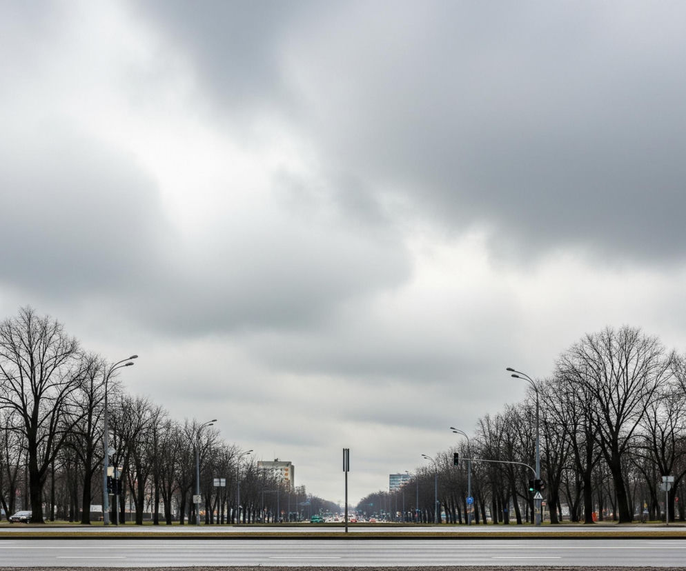 Szeroką ulicę miejską z rzędami bezlistnych drzew po obu stronach. Horyzont dominuje szare, zachmurzone niebo. W tle widać odległe budynki i światła samochodów. Na środku jezdni, w oddali, znajdują się sygnalizatory świetlne i słupy oświetleniowe, a na pierwszym planie widoczne są pasy dla pieszych.