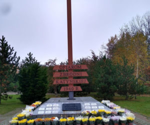Chryzantemy ozdobiły Starachowice