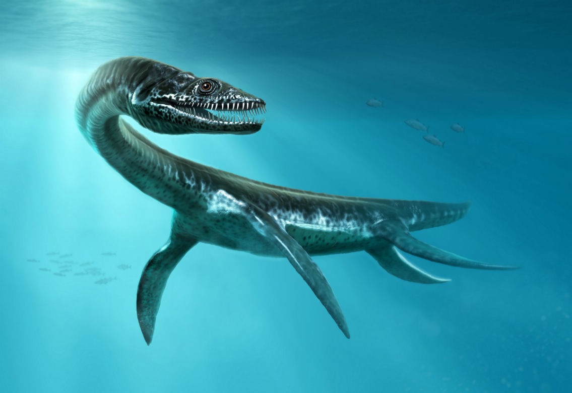 Potwór z Loch Ness uciekł do Rosji! Szokujące odkrycie badaczy