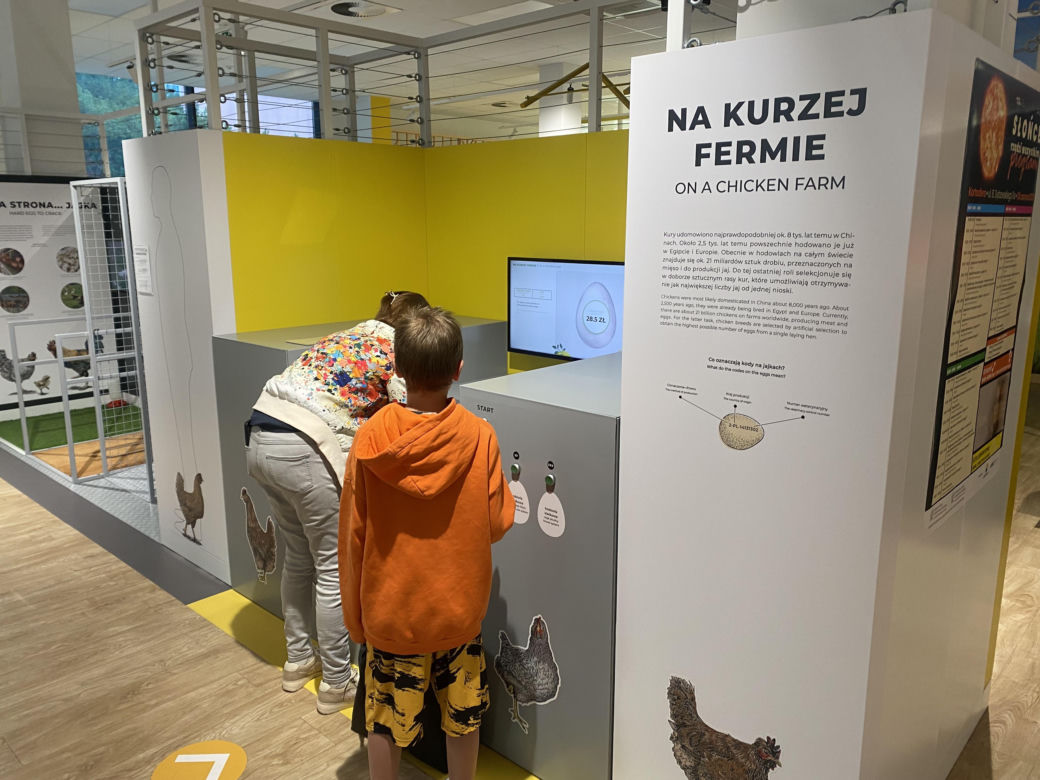 Słoneczny początek wakacji w Olsztynie! Eska Summer City w Kortosferze