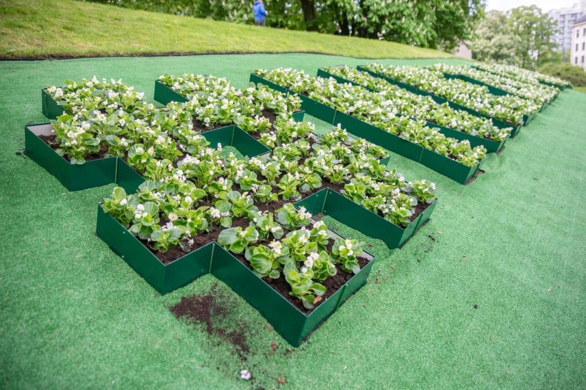Napis powstał z blisko 1500 kwiatów