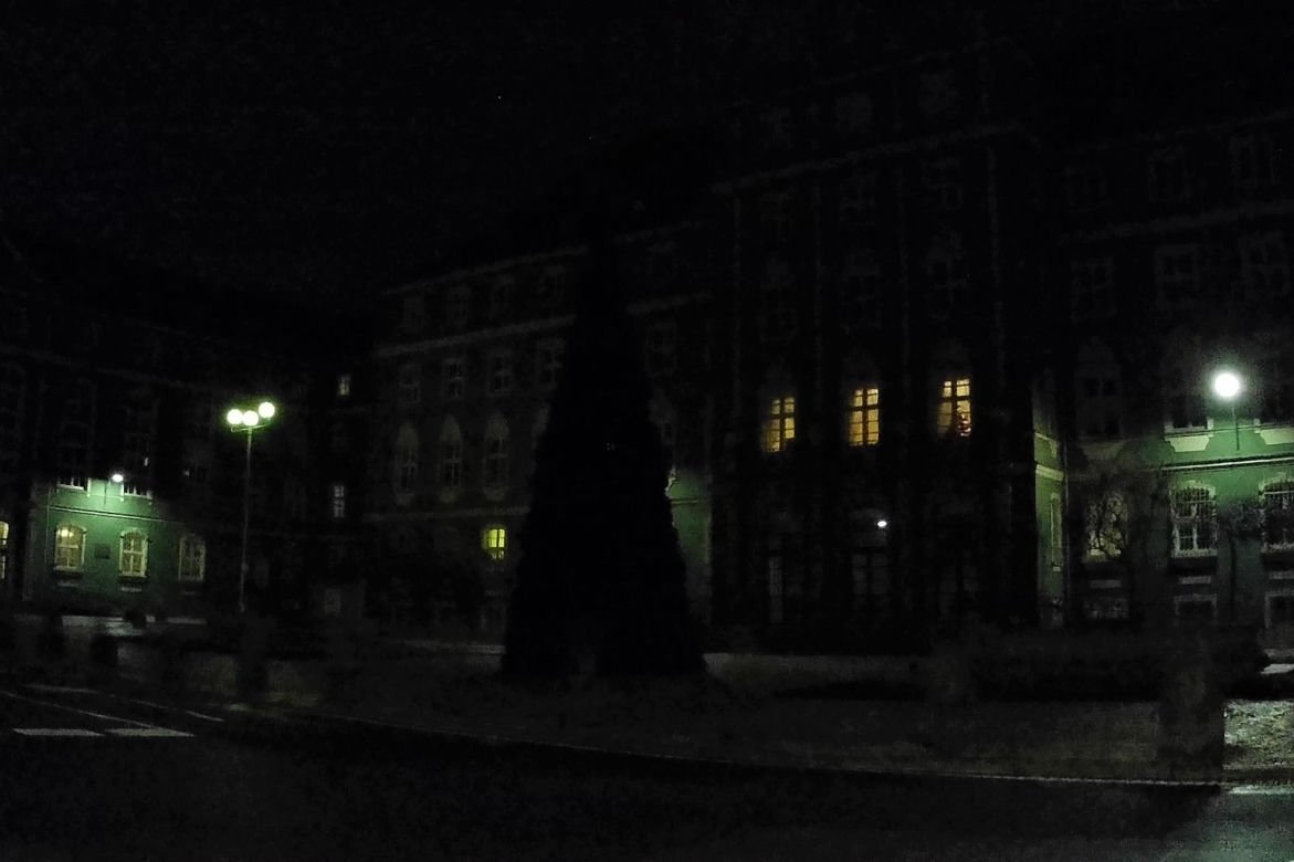 "Kryzysowa" choinka miejska w Szczecinie