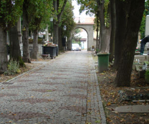 Stary Cmentarz w Tarnowie