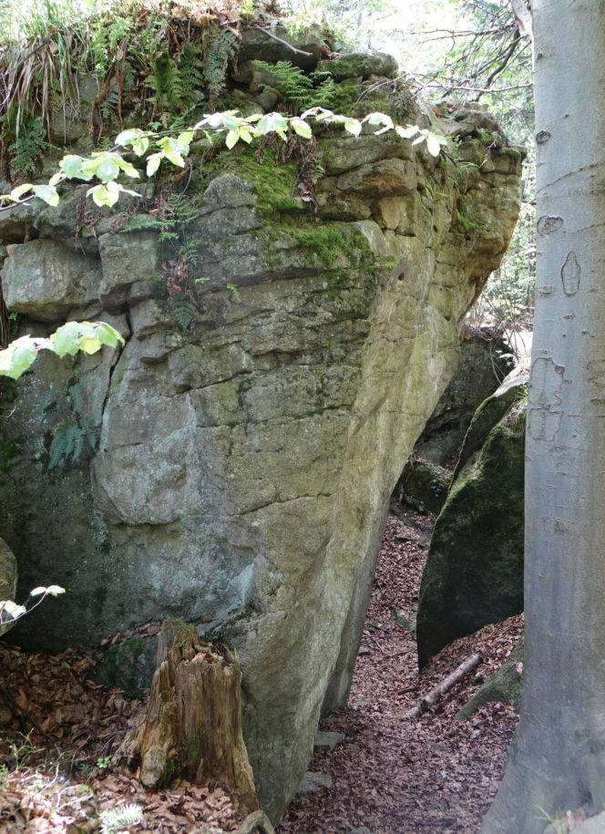 Skalne miasto Beskid Mały