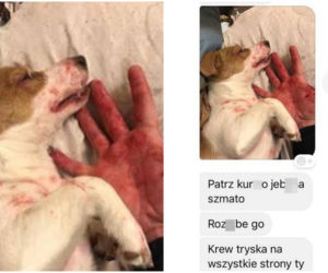 Rzuciła go dziewczyna, więc brutalnie skatował psa. Patrz kur*o jeb**a szmato, krew tryska na wszystkie strony [DRASTYCZNE ZDJĘCIA]