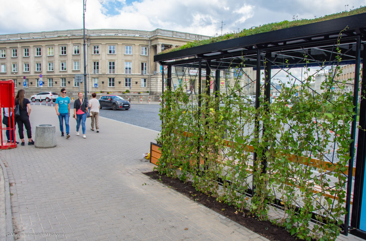 Są już pierwsze zielone przystanki w Białymstoku
