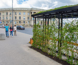 Są już pierwsze zielone przystanki w Białymstoku