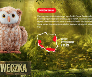 Koniec Gangu Swojaków