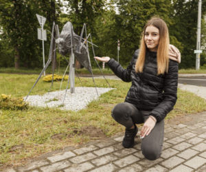 Zbudowali pomnik komara